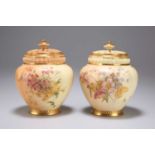 A PAIR OF ROYAL WORCESTER BLUSH IVORY POT POURRI VASES AND COVERS