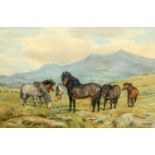 DOROTHY MARGARET & ELIZABETH MARY ALDERSON (c1900-1992) HIGHLAND PONIES