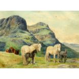 DOROTHY MARGARET & ELIZABETH MARY ALDERSON (c1900-1992) HIGHLAND PONIES