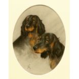 LATE 19TH/EARLY 20TH CENTURY ENGLISH SCHOOL SPANIELS