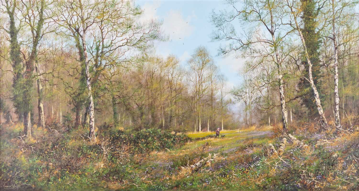 JAMES WRIGHT (B.1935) A WALK IN THE WOODS