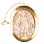 A 19TH CENTURY SHELL CAMEO BROOCH