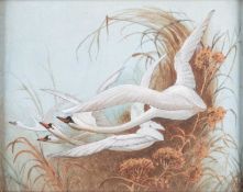 CHARLES HENRY CLIFFORD BALDWYN (1859-1943) SWANS IN FLIGHT