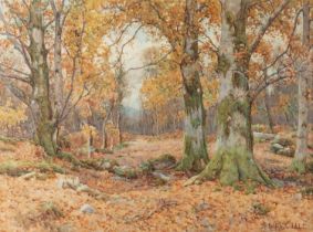 RALPH WILLIAM BARDILL (1876-1935) AUTUMN WOODLAND SCENE