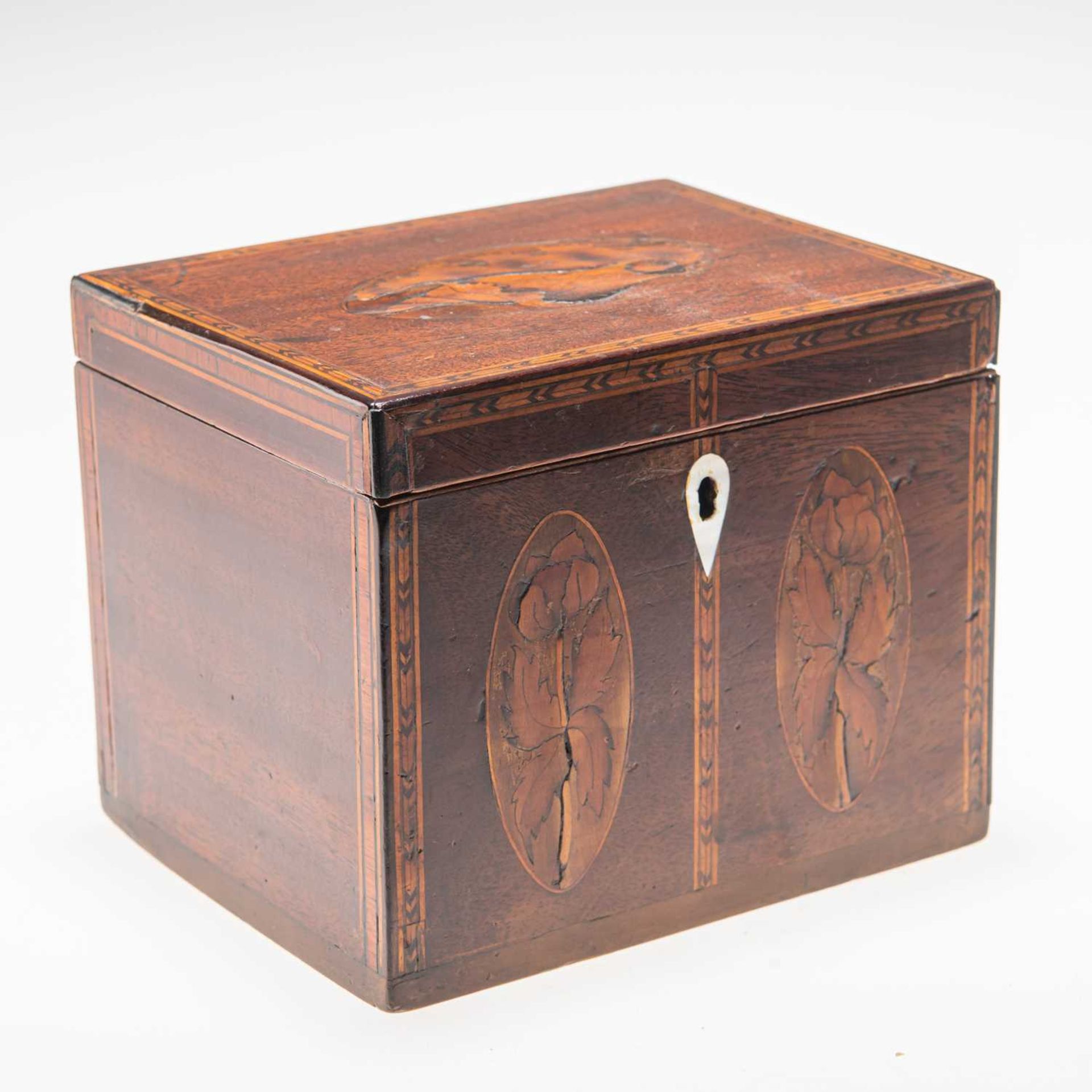 AN EARLY 19TH CENTURY INLAID MAHOGANY TEA CADDY