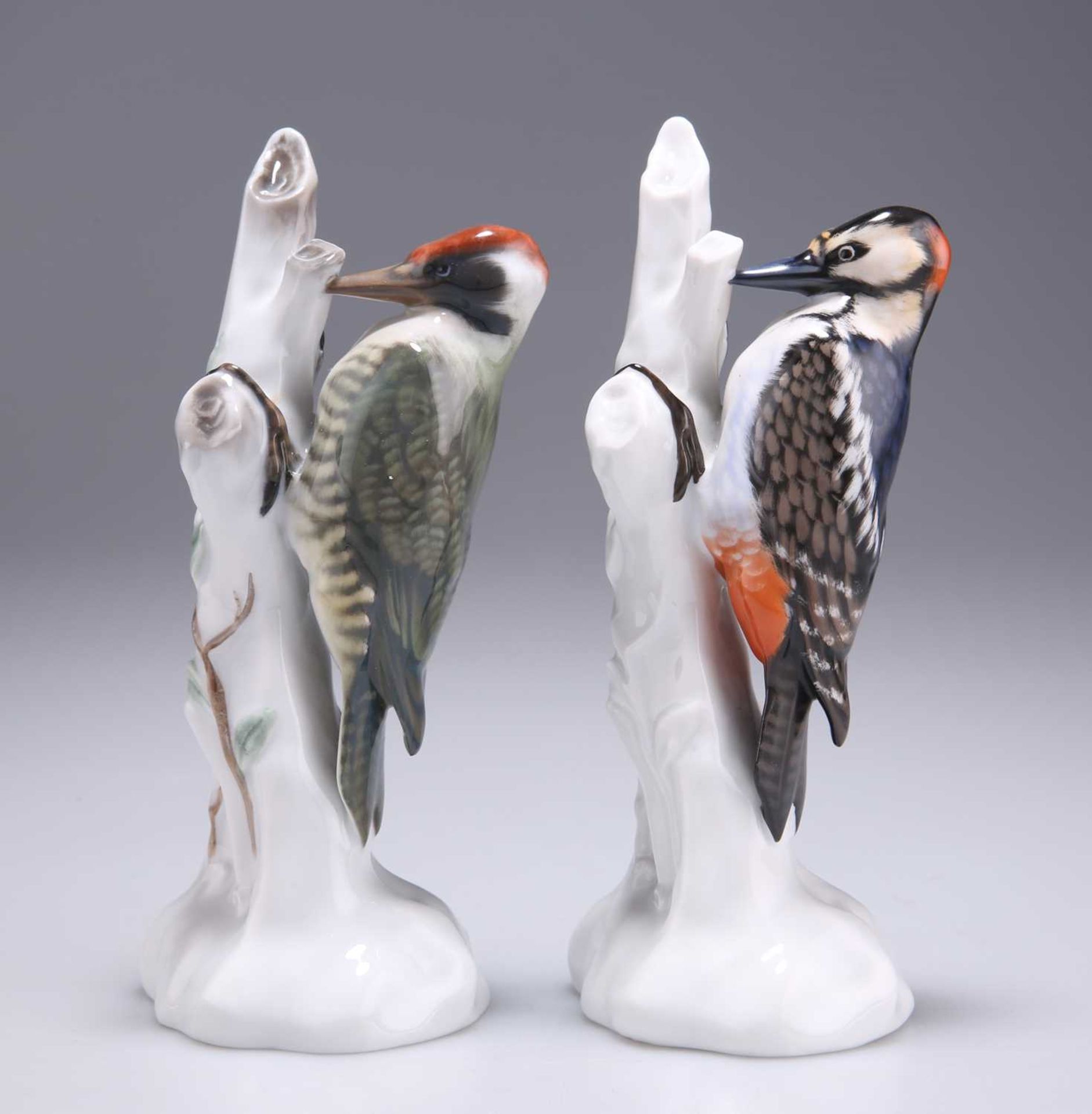 TWO ROSENTHAL PORCELAIN MODELS OF WOODPECKERS - Bild 2 aus 2