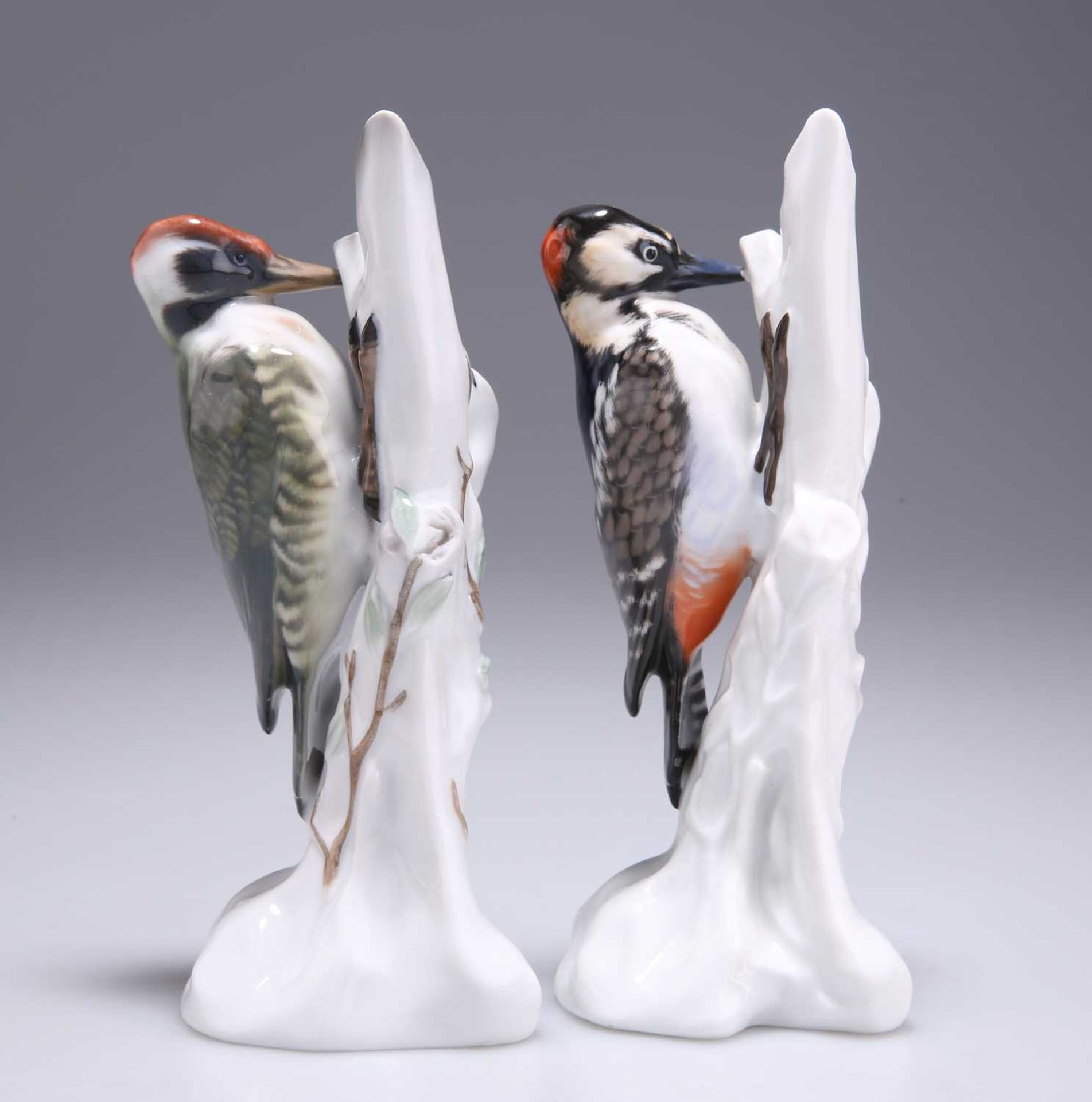 TWO ROSENTHAL PORCELAIN MODELS OF WOODPECKERS