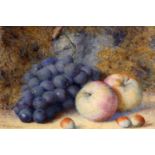 FRED SPENCER (EXH 1891-1924) STILL LIFE OF GRAPES, APPLES AND HAZELNUTS