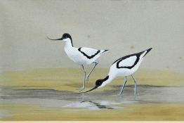 P MAKEPEACE (20TH CENTURY) THE AVOCETS