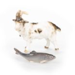 A CONTINENTAL PORCELAIN MODEL OF A GOAT AND A BING & GRONDAHL MODEL OF A FISH