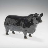 A BESWICK MODEL OF AN ABERDEEN ANGUS BULL