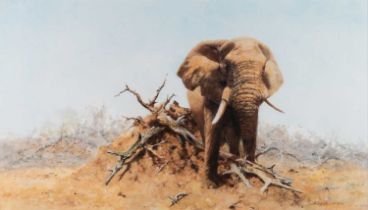 DAVID SHEPHERD (1931-2017) ELEPHANT IN THE BUSH
