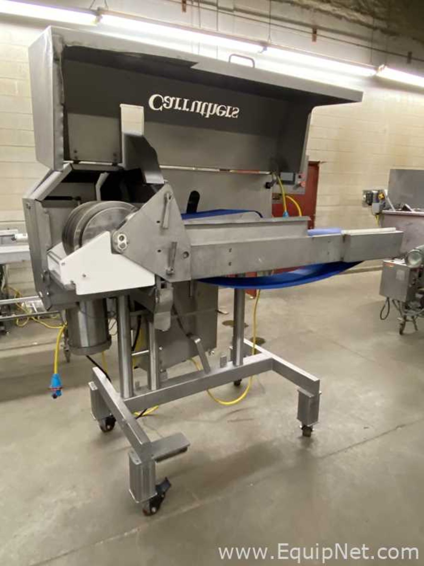 Carruthers AdvantEdge AE5000 Dicer With CV79000 Incline Conveyor Belt - Image 7 of 21
