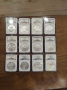 12 date run of American Silver Eagles, 1999-2010 (12 eagles total)