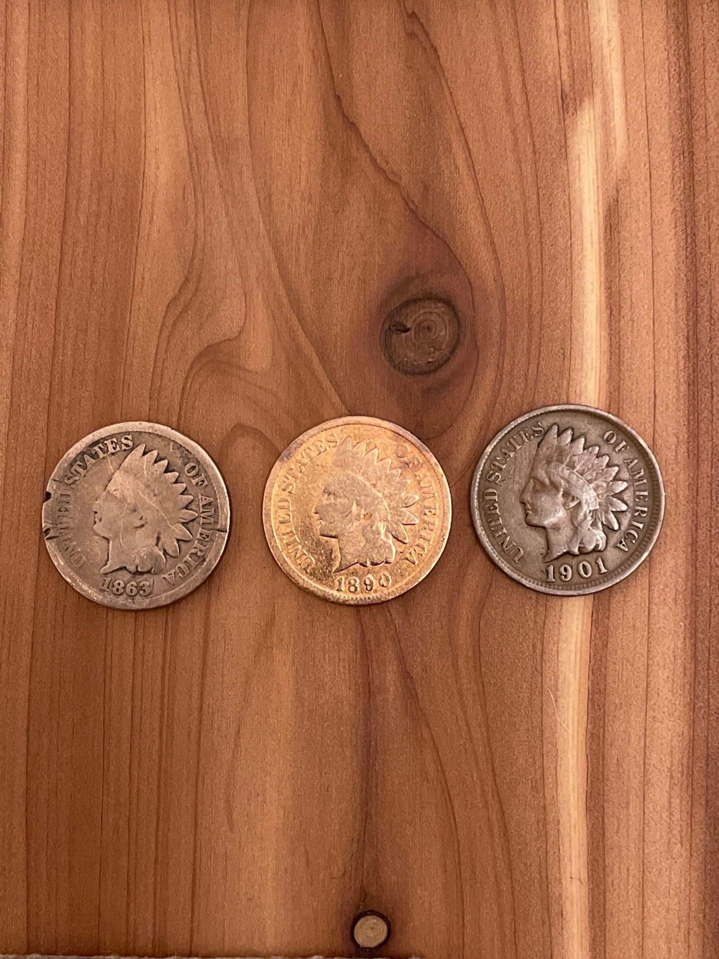 Indian Head Pennies and more