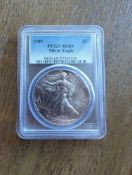 1989 Silver Eagle