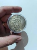 1996 toned silver eagle