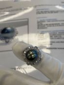 Jewelry: 18K White Gold Lady's Custom Made Diamond & south Sea Pearl ring 6.30 GR TW