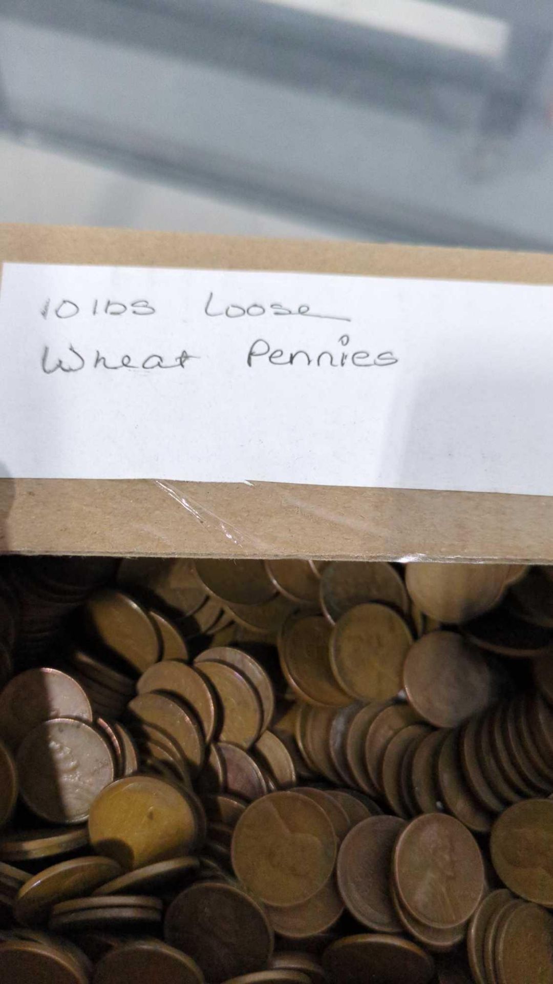 10 lb of loose wheat pennies