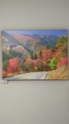 Art/photography on walls Tetons fall leaves ski show photos and more