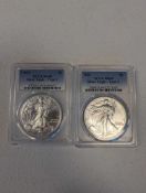 2021 Type 1 and Type 2 Silver Eagle Set