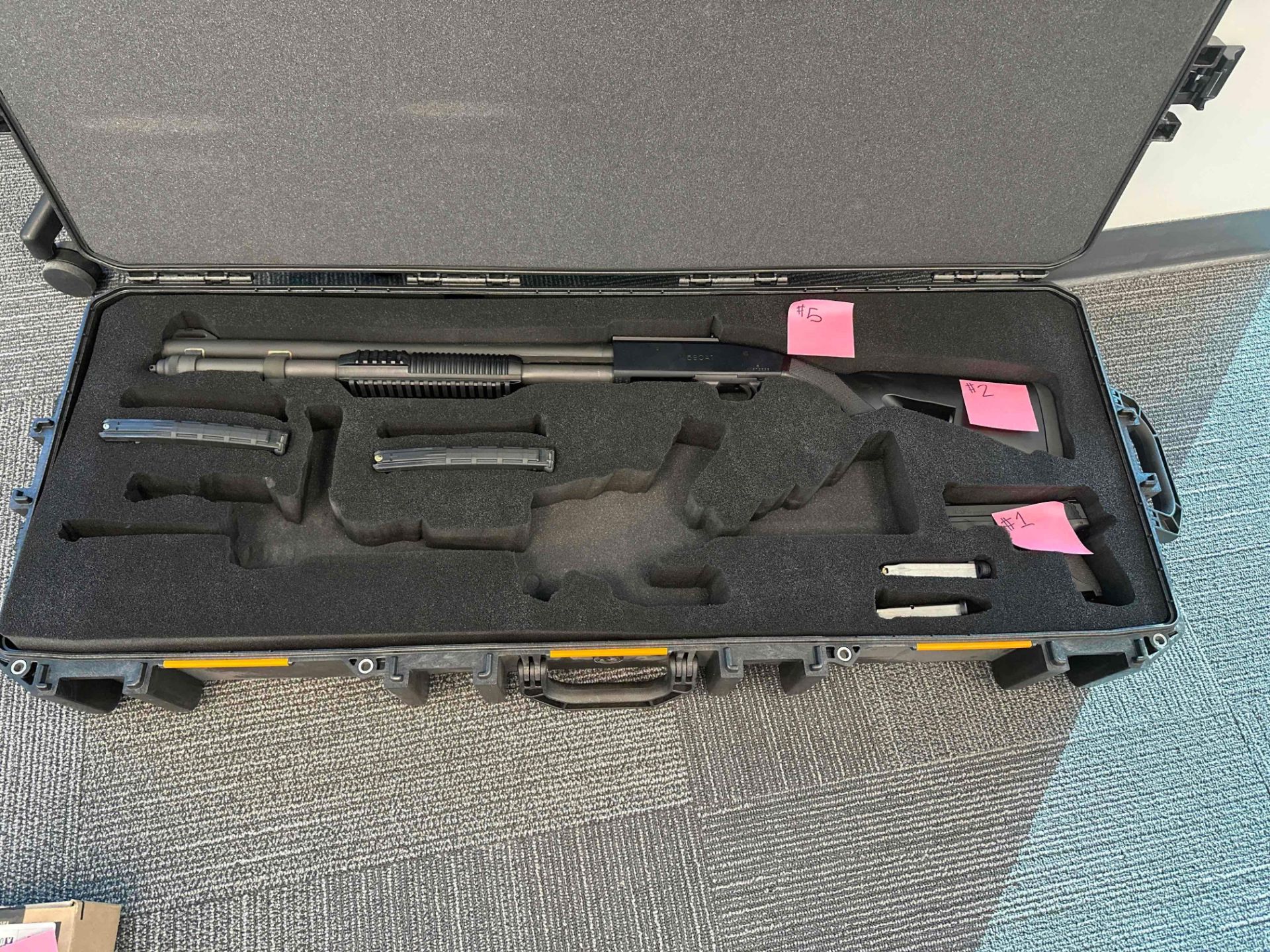 Gun case (firearms not included)