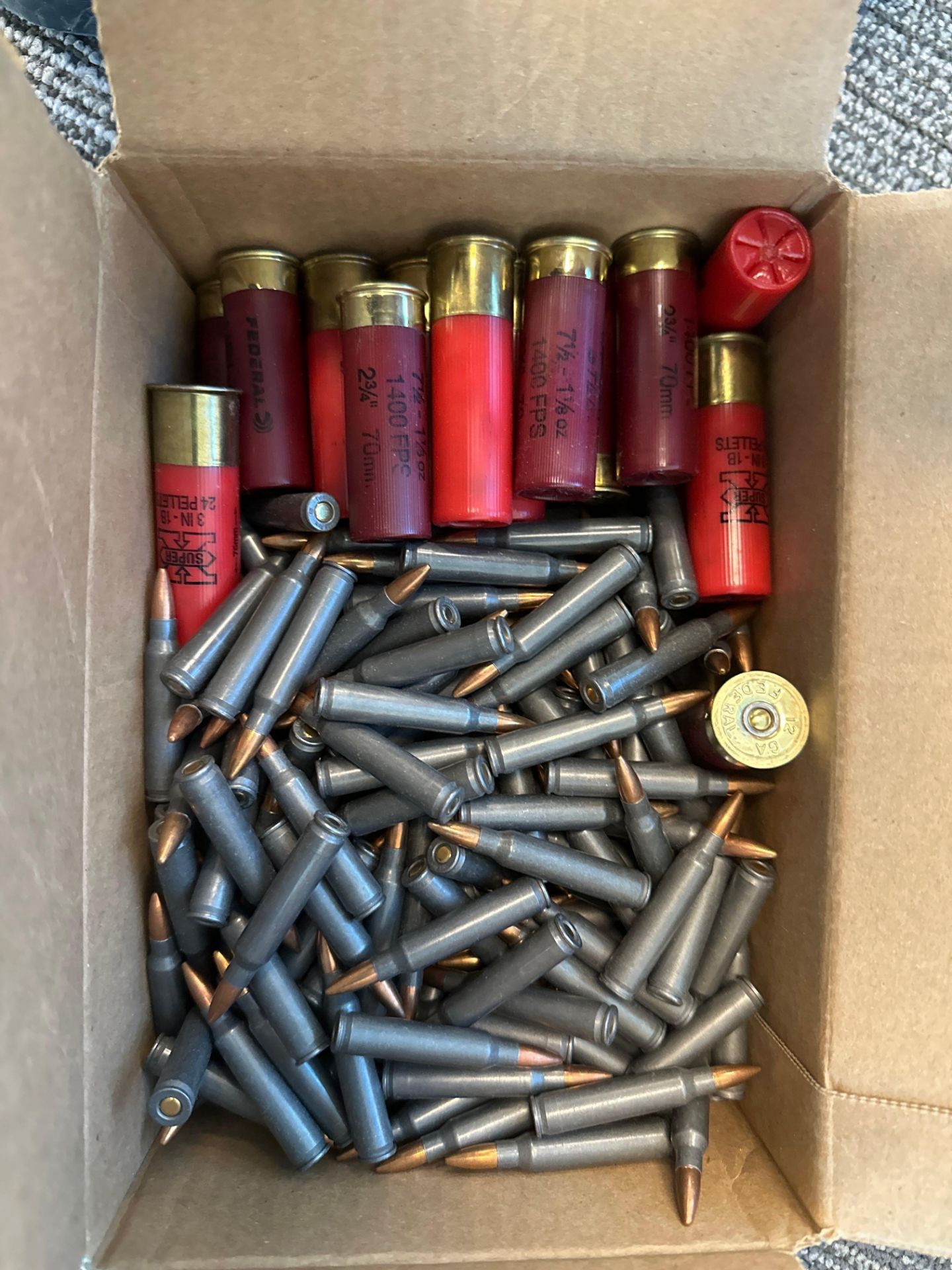 Shotgun shells and 223 shells