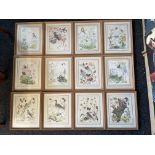 Collection of Twelve Framed Marjorie Blamey Prints