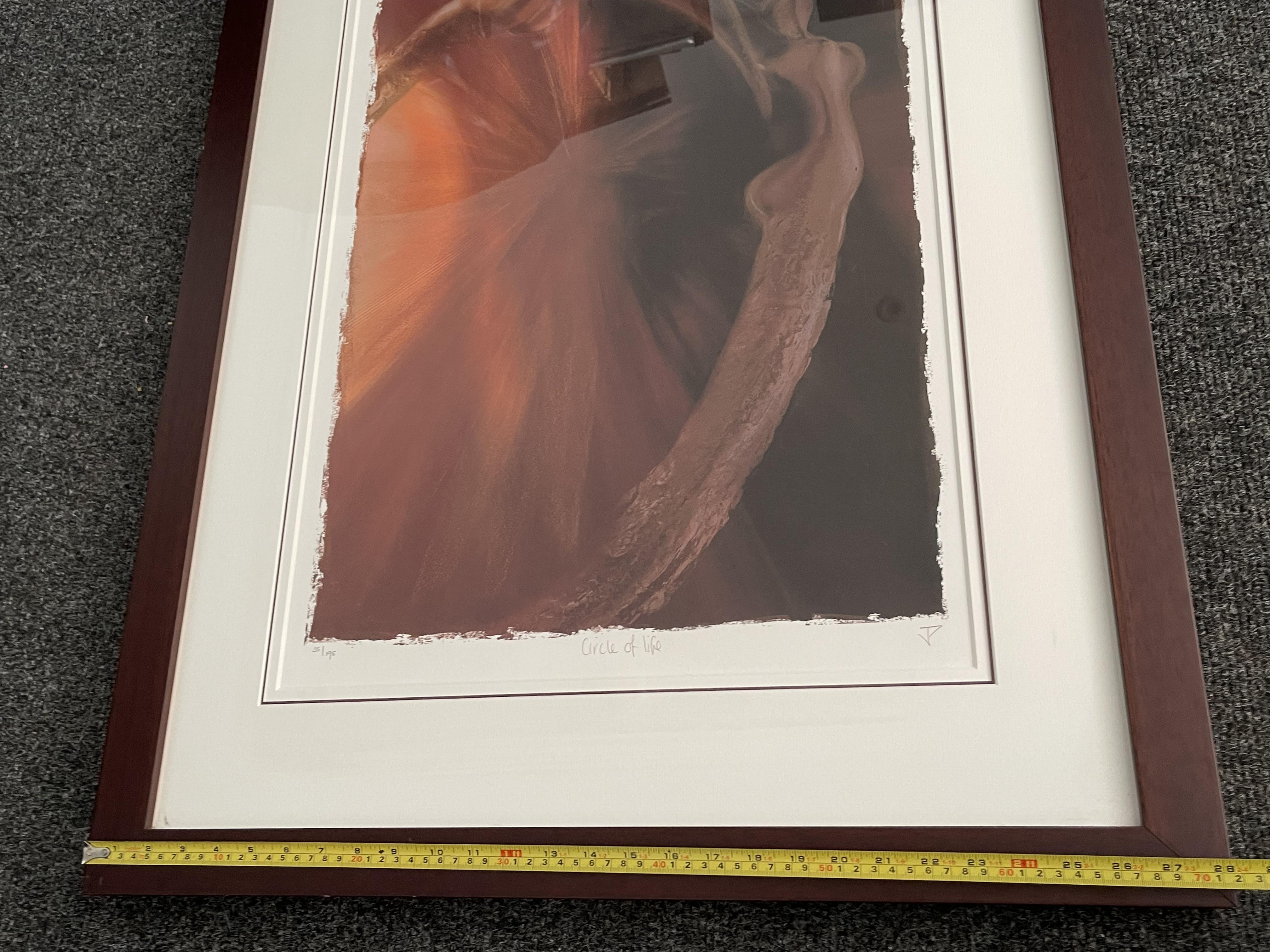 Jenine Parker - Circle of Life - Signed Limited Ed - Image 10 of 15