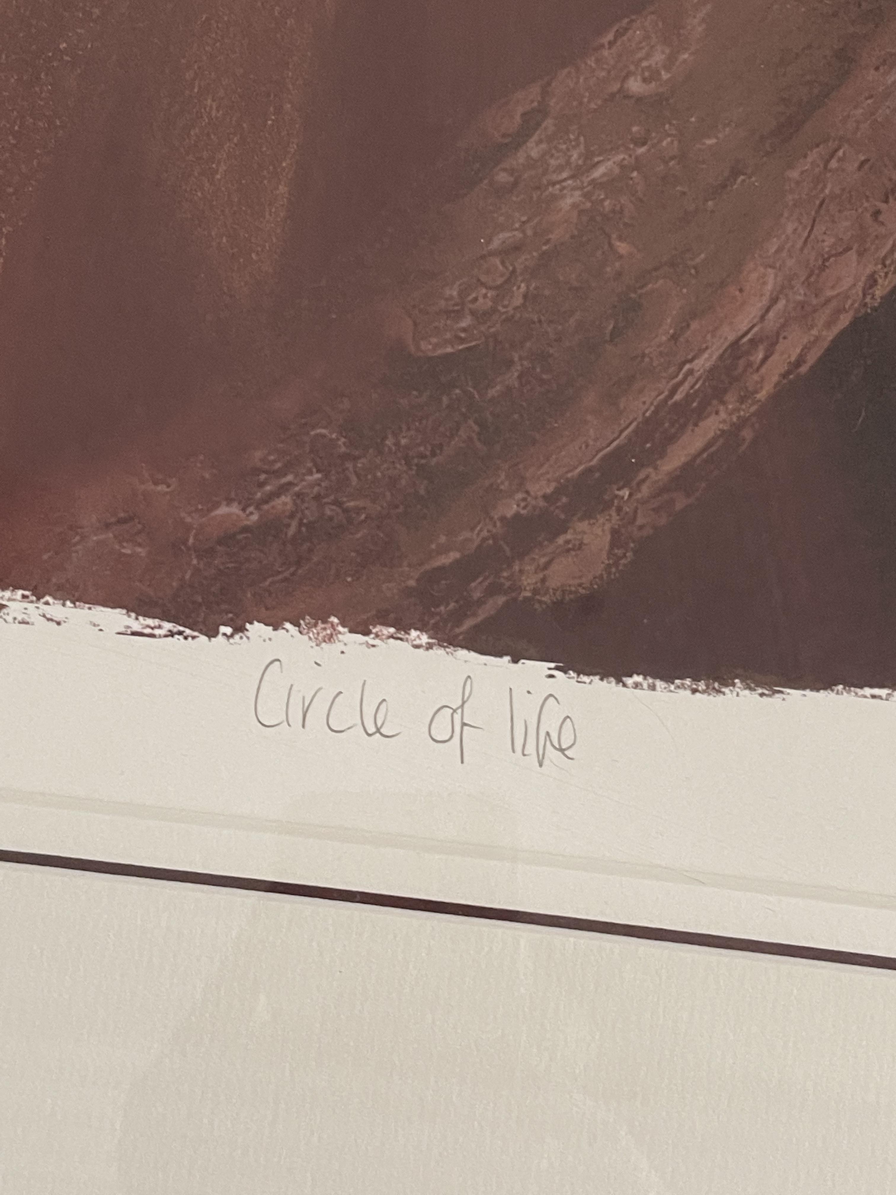 Jenine Parker - Circle of Life - Signed Limited Ed - Image 7 of 15