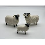 Beswick - Sheep Family - Ram, Ewe and Lamb. Good
