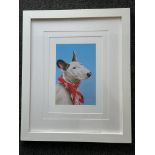 Chrissy Wilson - English Bull Terrier "Nell". Sign