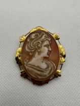 9ct Yellow Gold Cameo Brooch.