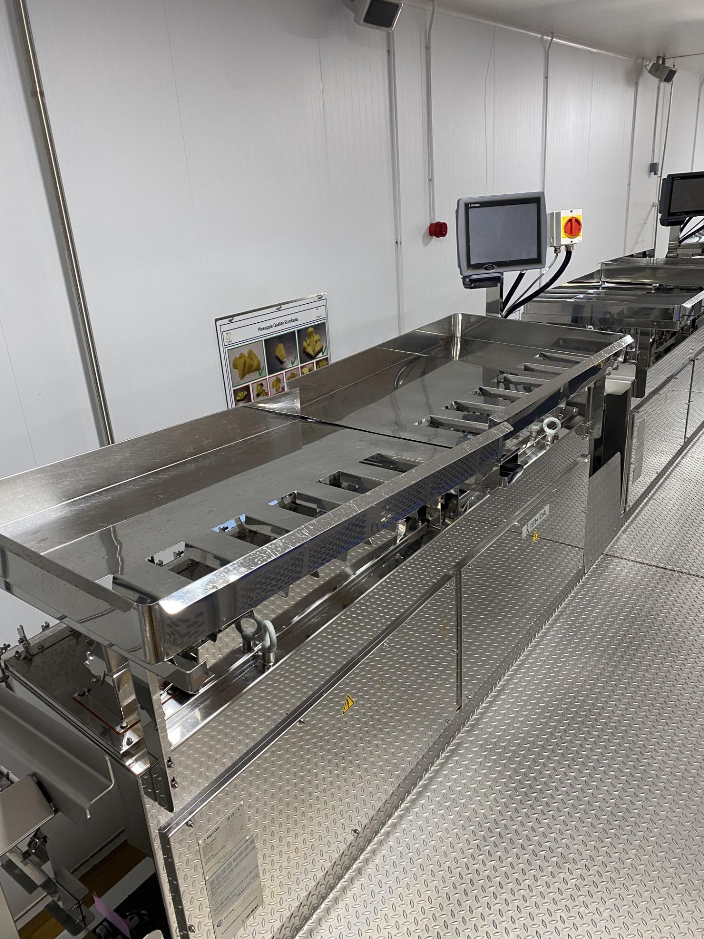 Ishida High speed 12 Head fresh fruit weighing system including access platform, product tray - Image 6 of 10