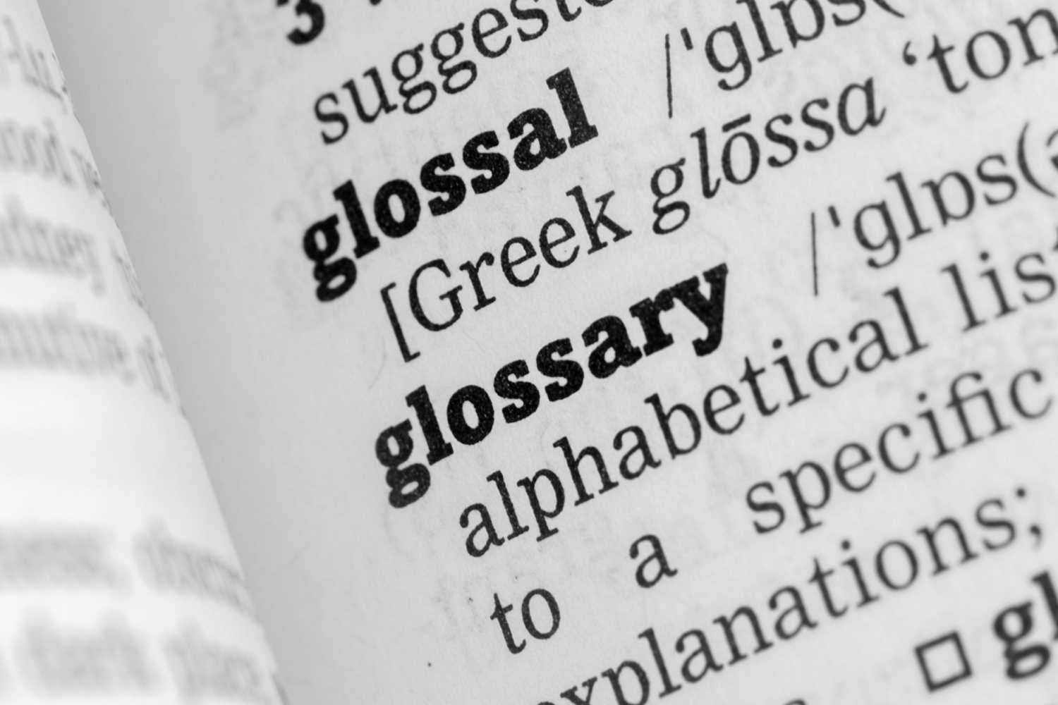 Glossary of grading and terms used