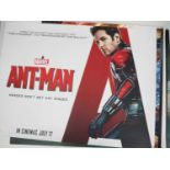 Selection of MARVEL superhero UK Quad film posters - to include THOR, ANT-MAN, SPIDER-MAN, X-MEN -