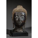 Tête de Bouddha à l'expression sereine coiffée des fines bouclettes surmontée de la protubérance