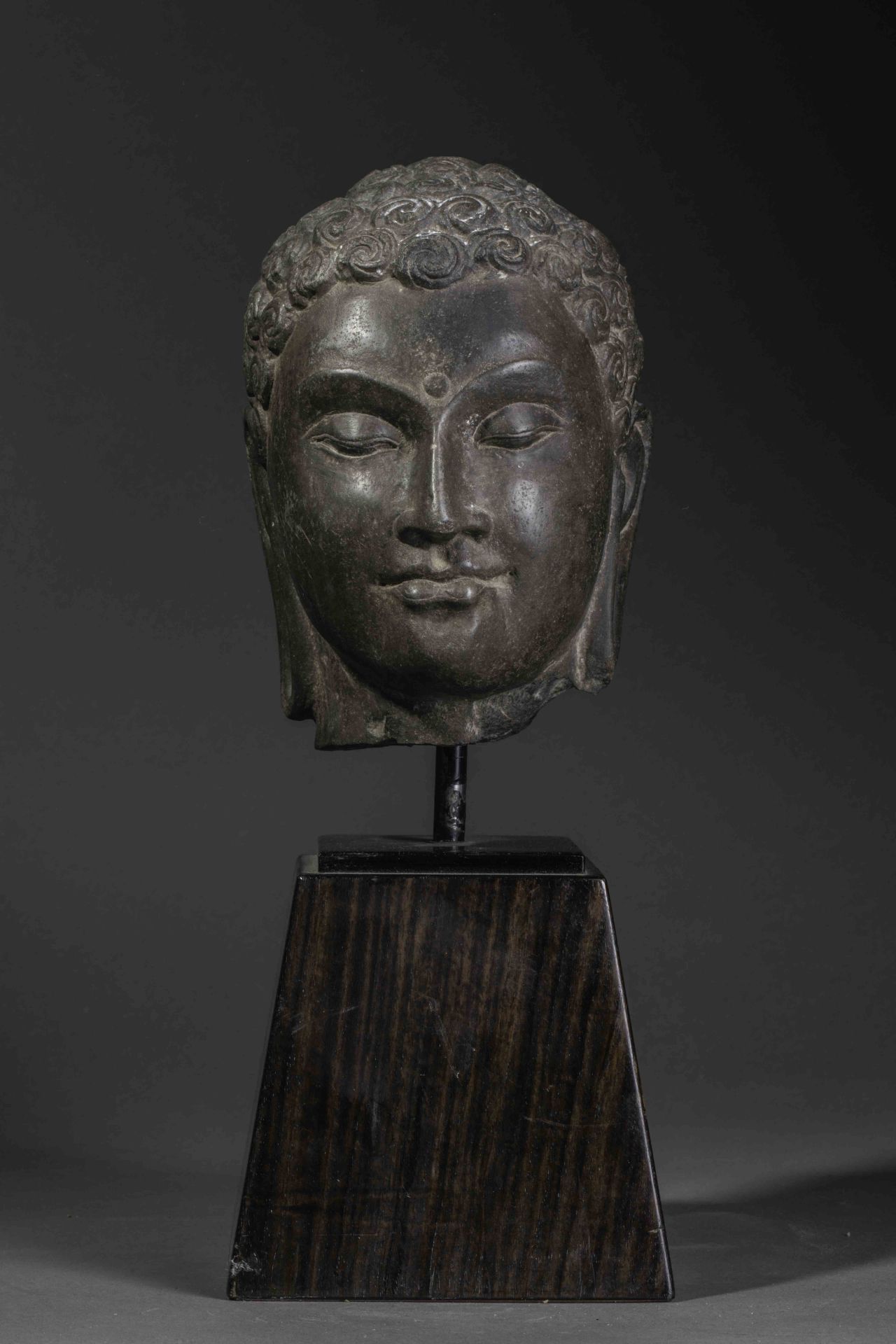 Tête de Buddha à la beauté juvénile, l’expression sereine,les yeux mi-clos préconisant le regard à