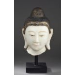 Tête de Buddha à la beauté juvénile et l'expression sereine coiffée de la protubérance crânienne