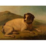 Scuola italiana secolo XIX - Resting dog