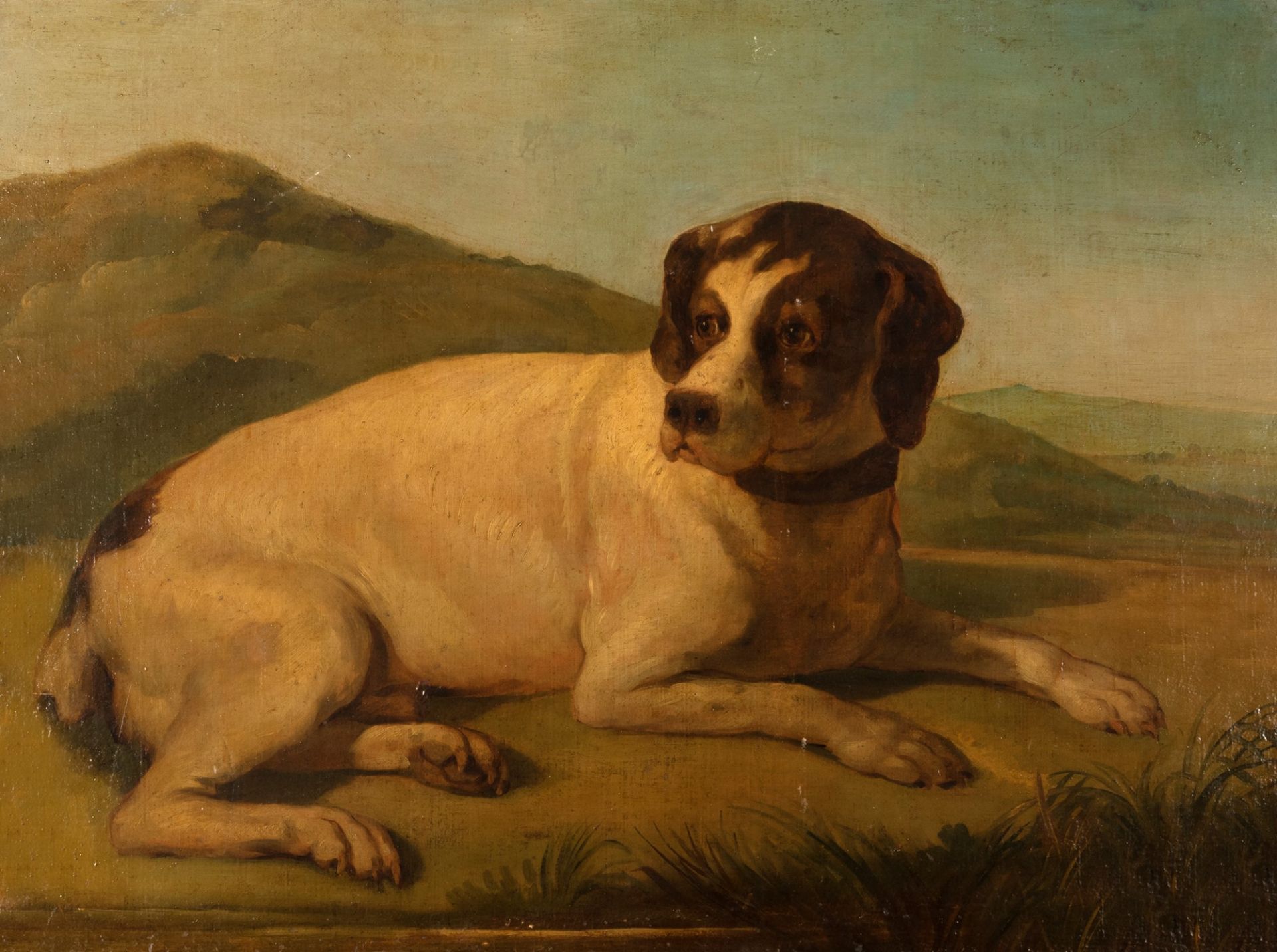 Scuola italiana secolo XIX - Resting dog