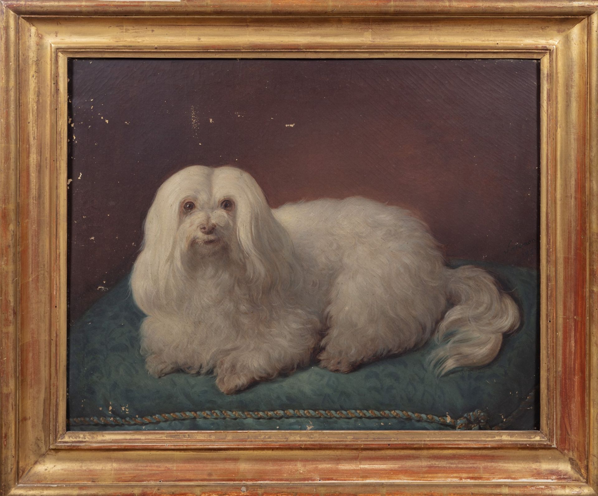 Scuola italiana, secolo XIX - Maltese dog named Blanca - Bild 2 aus 2