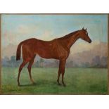 Kate Sowerby (attiva in Inghilterra 1857-1900) - Study for a horse