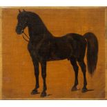 Scuola europea, secolo XIX - Study for a horse