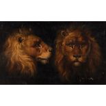 Scuola italiana, secolo XIX - Study of Lions