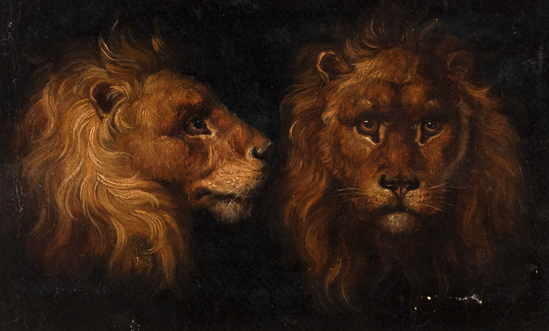 Scuola italiana, secolo XIX - Study of Lions