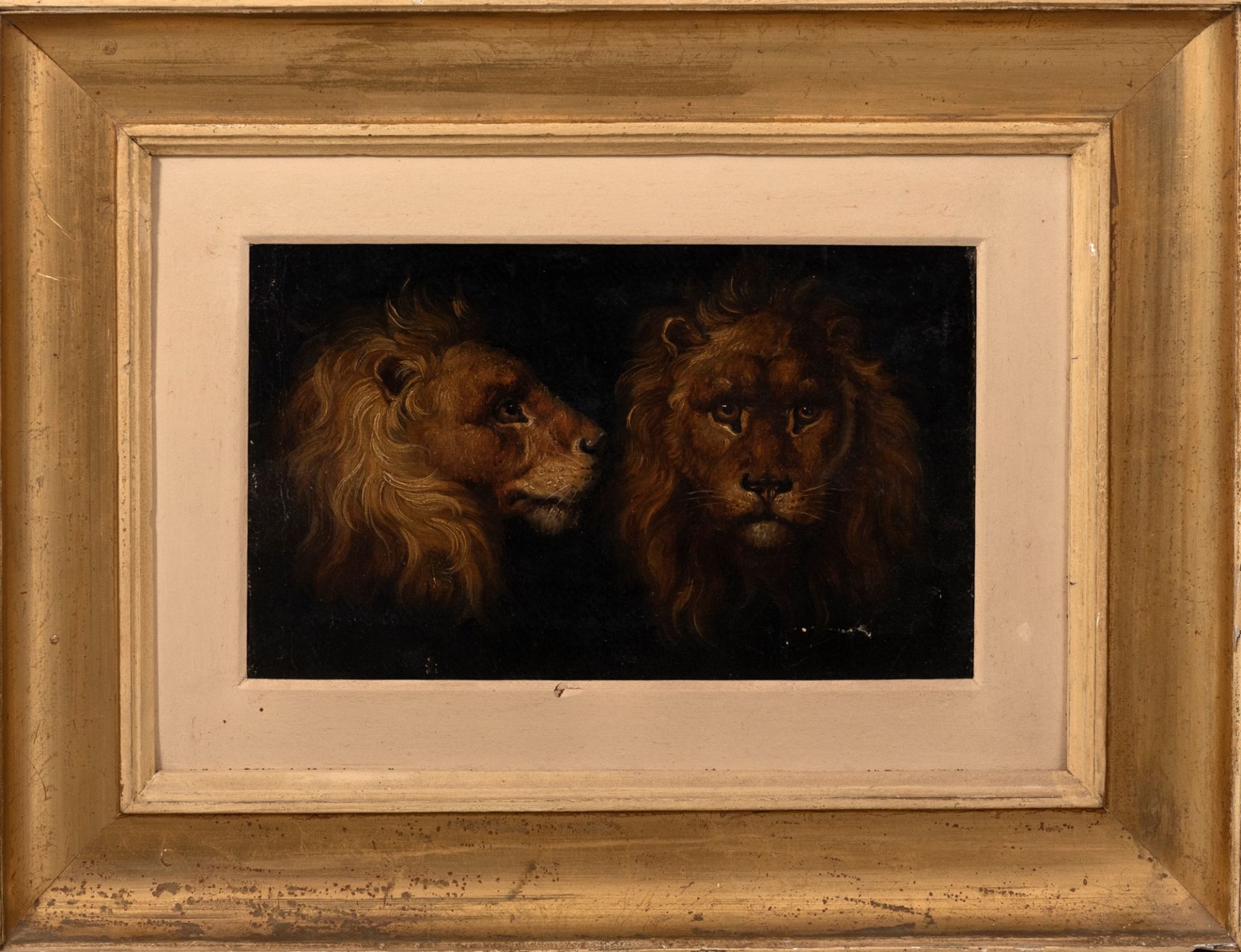Scuola italiana, secolo XIX - Study of Lions - Image 3 of 3