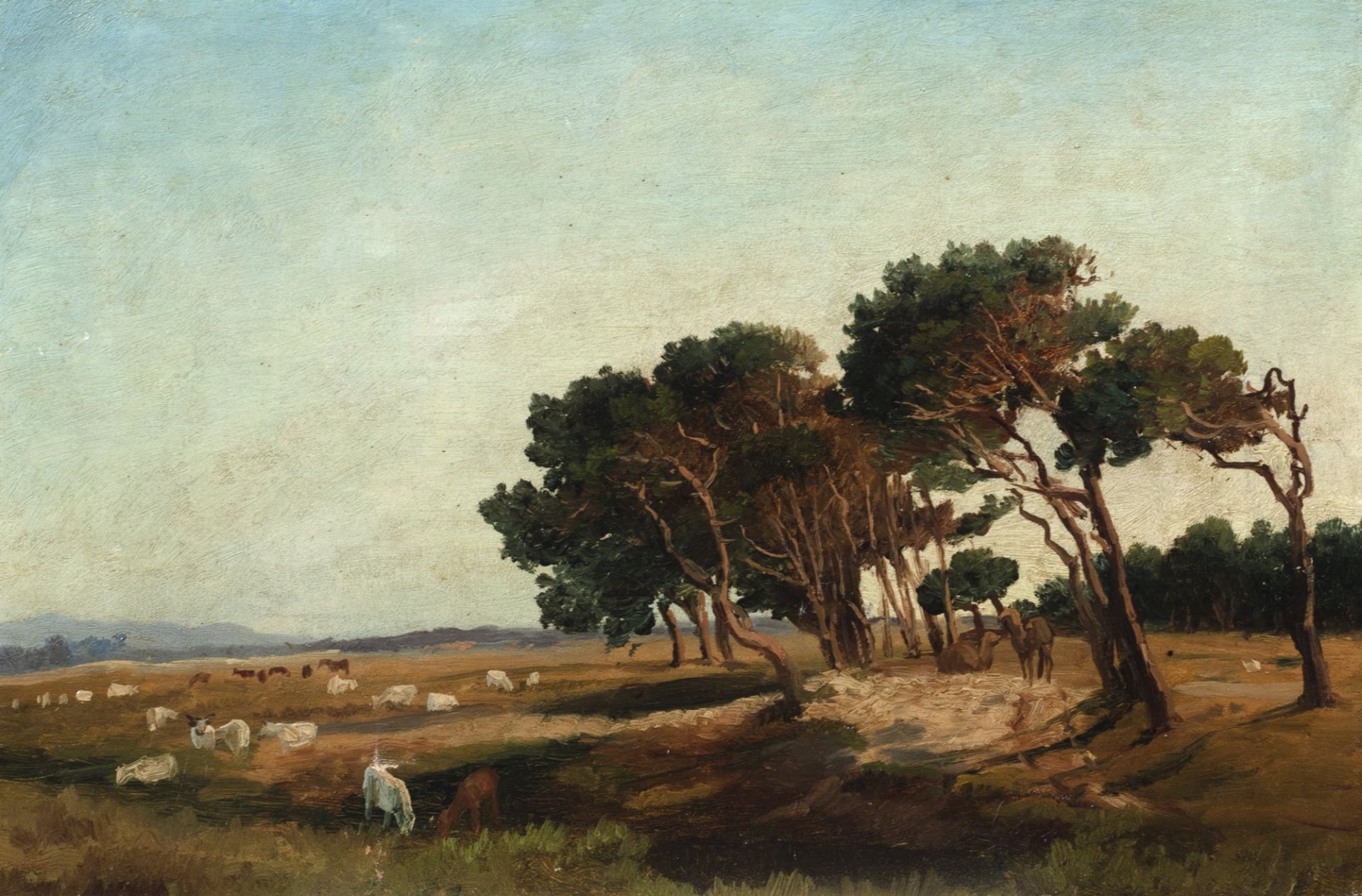 Giuseppe Haimann (Milano 1828-Alessandria d'Egitto 1883) - Pasture in the Middle East