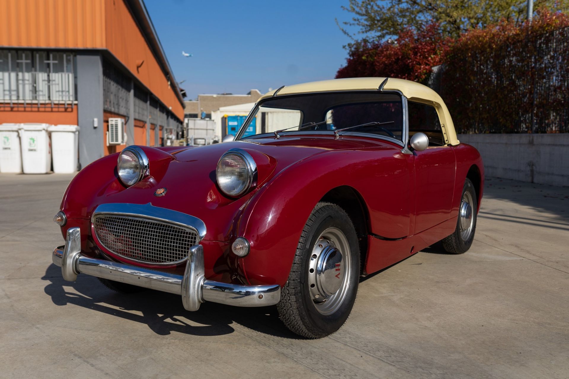 1960 Austin Healey Sprite (Austin-Healey)