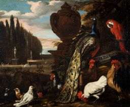 Scuola fiamminga, secolo XVIII - Birds in a garden